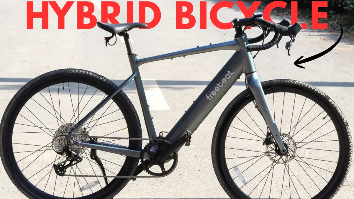 Hybrid Bicycle